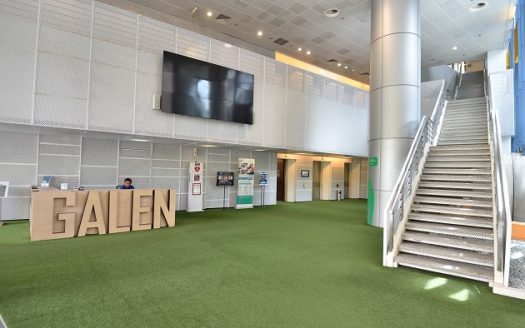 The Galen